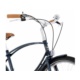Rower PASHLEY PARABIKE Dusk Blue 19'