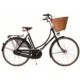 Rower PASHLEY PRINCESS SOVEREIGN Buck Black 20,5 8
