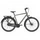 Rower GAZELLE Chamonix C8 H61 clay green matt