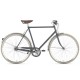 Rower Gazelle Van Stael V7 H59 Dust light