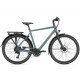 Rower GAZELLE Chamonix T20 H57 Thunder grey