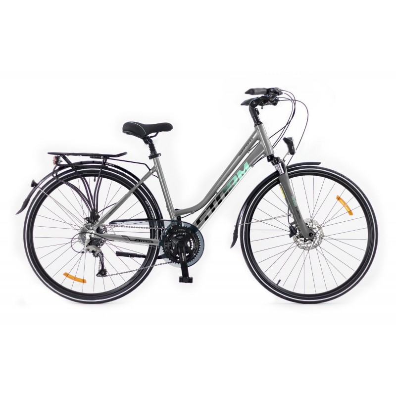 Rower Storm Maraton Lady 8.0 28" srebrny morski 17"