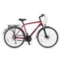 Rower trekkingowy Storm Marathon Man 9.0 bordowy 19"