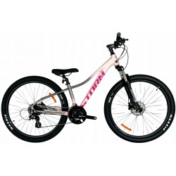 Rower Storm Shark 3.0 27,5" pudrowy róż grafit 13