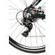 Rower Storm Focus 1.0 zielona butelka / złoty 54