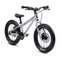 Rower dziecięcy EARLYRIDER Seeker 16" srebrny