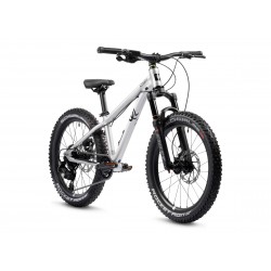 Rower dziecięcy EARLYRIDER Charger 20" srebrny