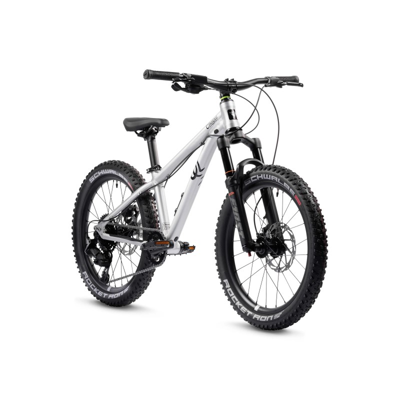 Rower dziecięcy EARLYRIDER Charger 20" srebrny