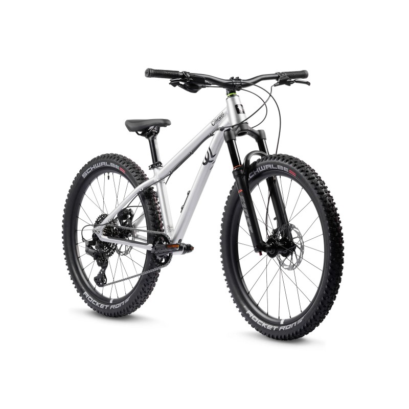 Rower dziecięcy EARLYRIDER Charger 24" srebrny