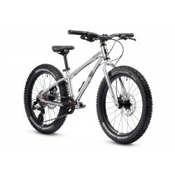 Rower dziecięcy EARLYRIDER Seeker 20" srebrny