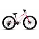 Rower dziecięcy Storm Bella 24" 2HD 7S róż