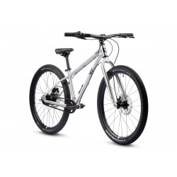 Rower dziecięcy EARLYRIDER Belter 24" srebrny