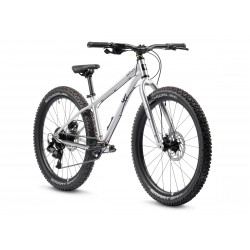 Rower dziecięcy EARLYRIDER Seeker 24" srebrny