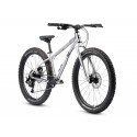 Rower dziecięcy EARLYRIDER Seeker 24" srebrny