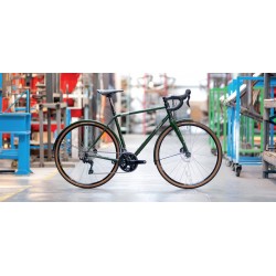 Rower elektryczny PASHLEY Roadfinder X Oak Greeen M