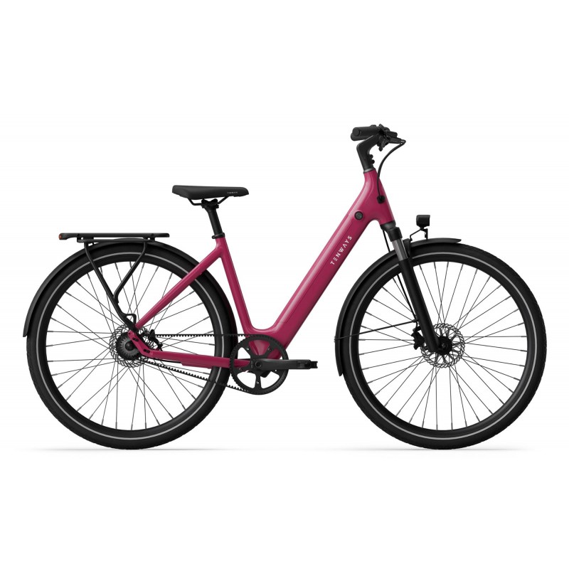 Rower elektryczny Tenways CGO800S Wild Berry