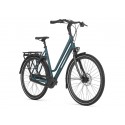 Rower GAZELLE Chamonix C8 D49 pine green
