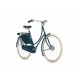 Rower GAZELLE Classic R7T D57 Pine Green