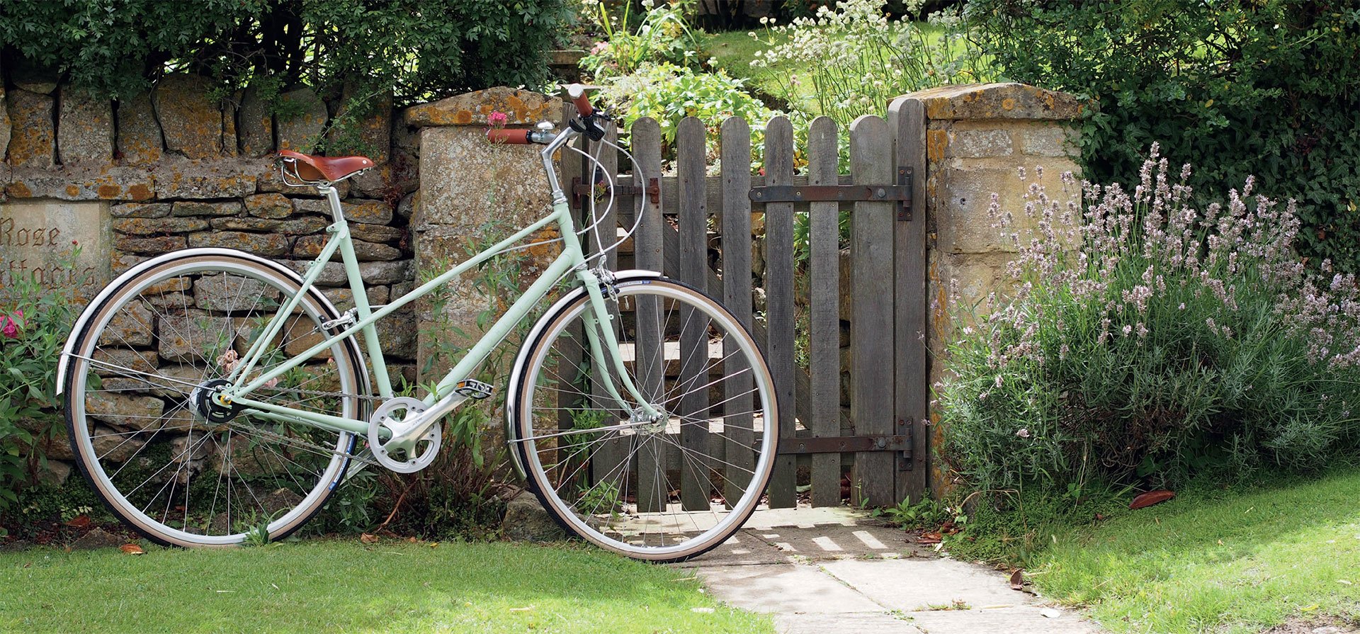 pashley-aurora