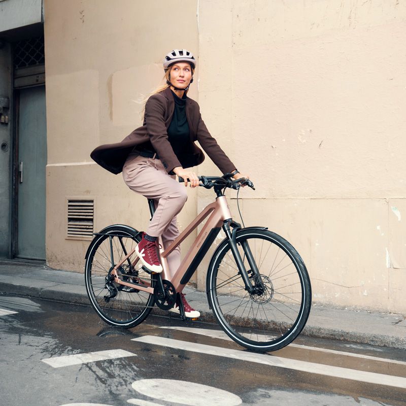 Riese & Müller Warszawa e-bike premium