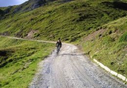 Czym różnią się rowery gravel, trekkingowe i MTB? Przewodnik dla niezdecydowanych