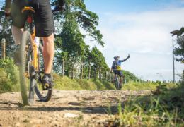 Najczęstsze błędy przy wyborze roweru górskiego – i jak ich uniknąć